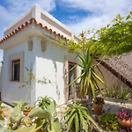 Exotic Beachfront Retreat Handcrafted Bohemian Luxury